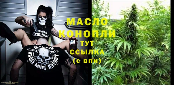 хмурый Инсар