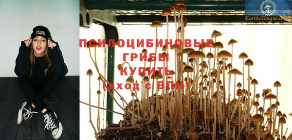 Альфа ПВП Инта