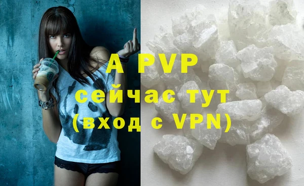 Альфа ПВП Инта