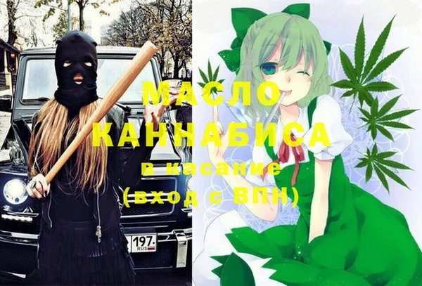 хмурый Инсар