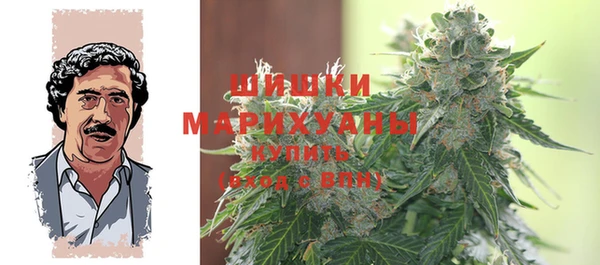 хмурый Инсар