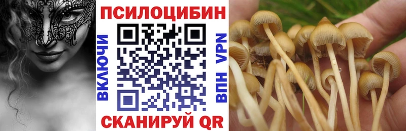 Купить закладки  Высоковск  Псилоцибиновые грибы ЛСД 